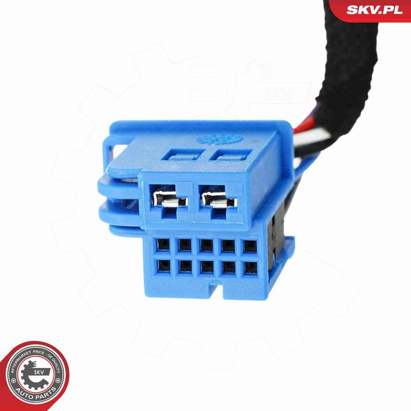 ESEN SKV 52SKV998 Electric Motor, tailgate