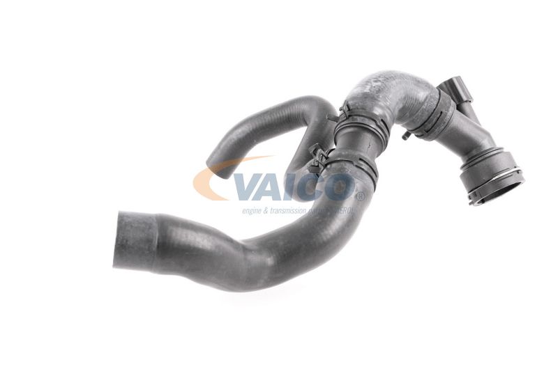 VAICO V10-4662 Talosa Radiator Hose