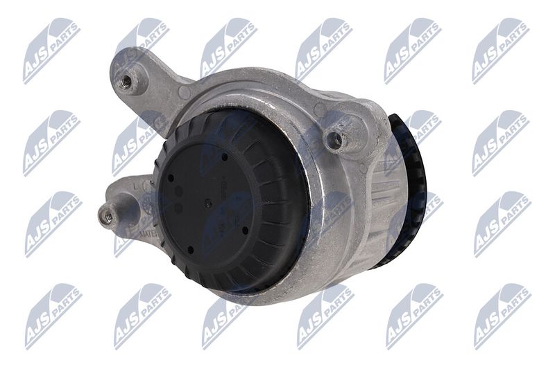 Paigutus, Mootor, NTY ZPS-ME-028