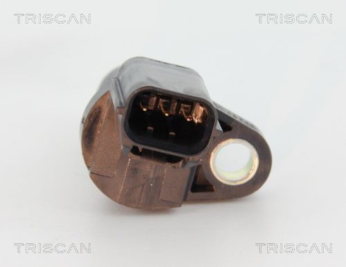 TRIS886542101_2.JPG