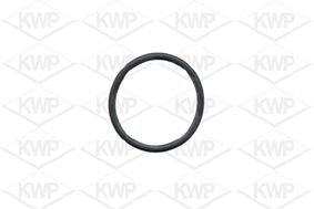 KWP 10431 Vandens pompa