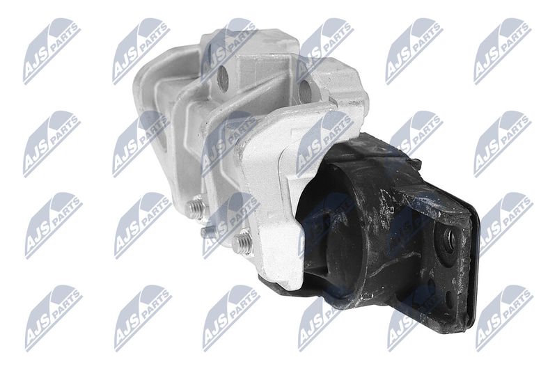 Paigutus, Mootor, NTY ZPS-CH-028