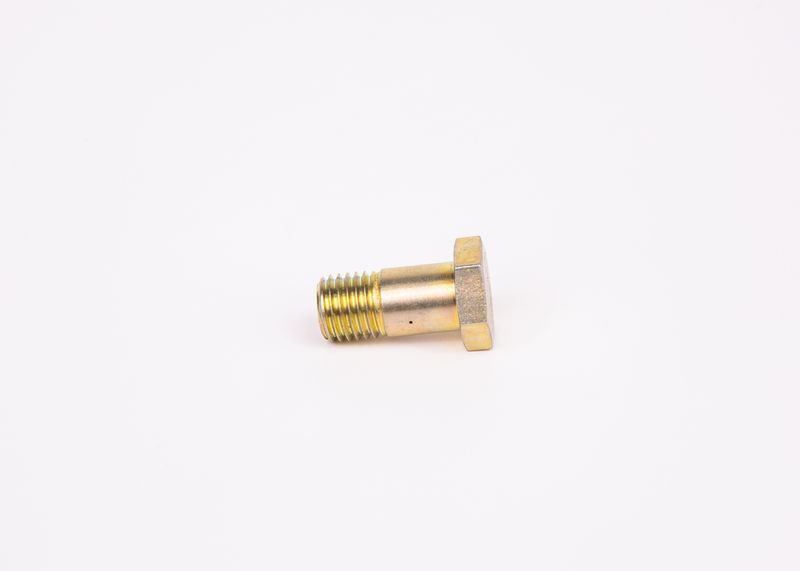 Surub F 002 D13 579 BOSCH