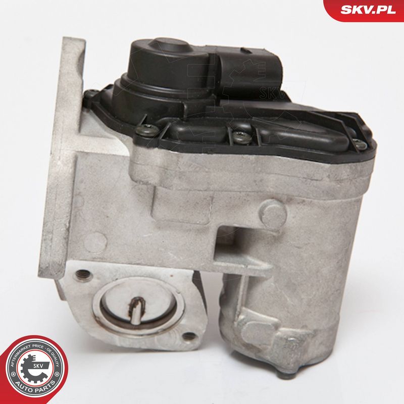 ESEN SKV 14SKV086 EGR Valve