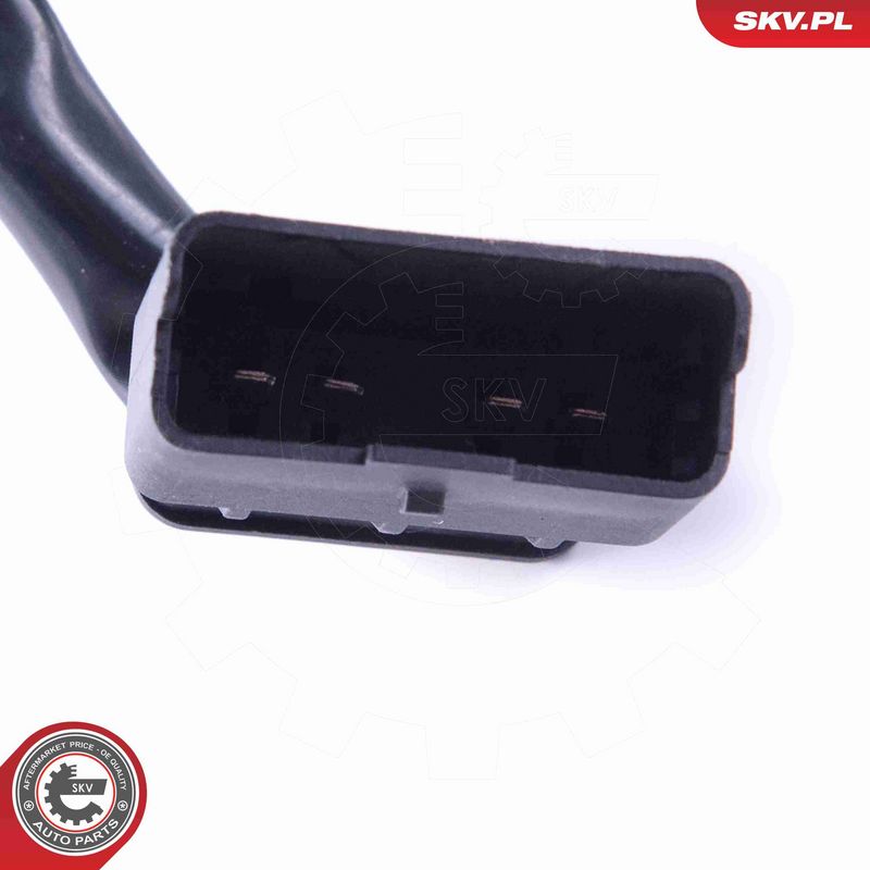 ESEN SKV 19SKV127 Wiper Motor