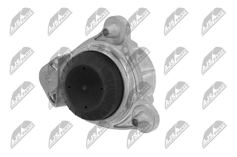 Paigutus, Mootor, NTY ZPS-ME-066