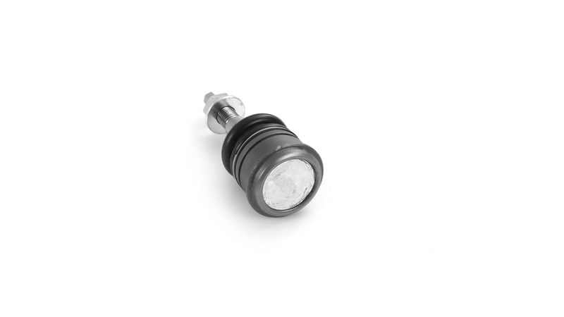 SKF VKDS312502 Šarnyras / girgždukas