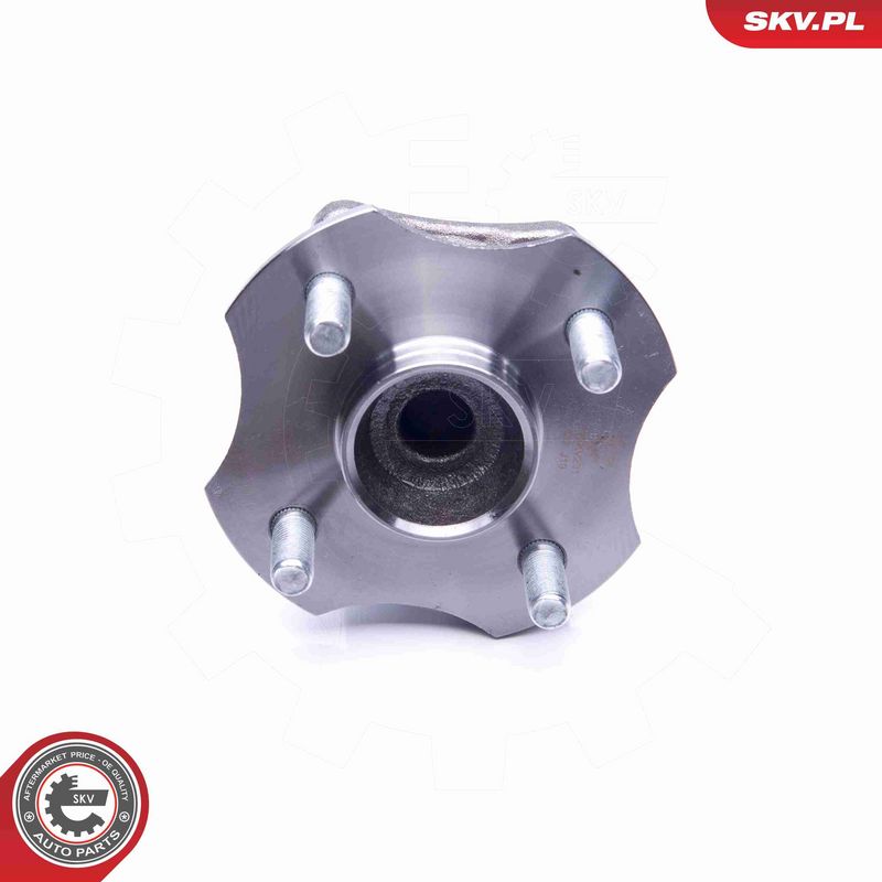 ESEN SKV 29SKV231 Wheel Bearing Kit