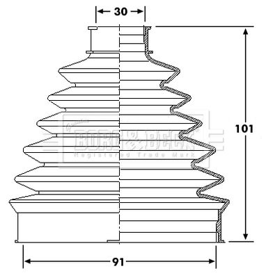BCB6194_292346.JPG
