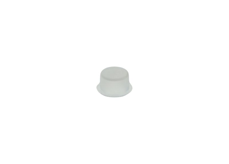Capac 1 900 508 011 BOSCH