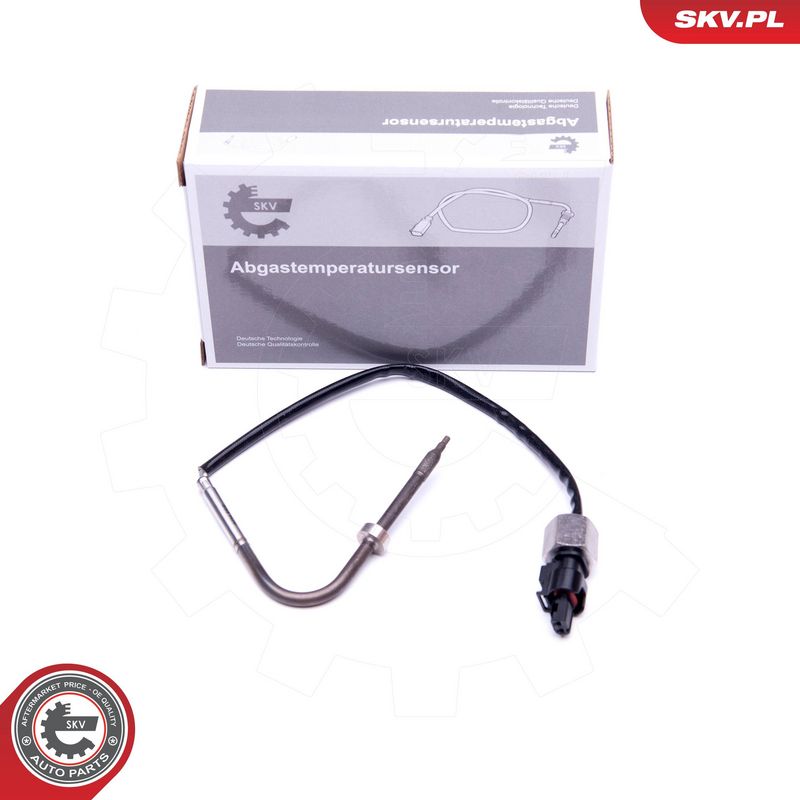 Andur, heitgaasitemperatuur, ESEN SKV 30SKV274