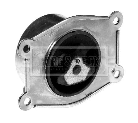 BEM3357_210213.JPG