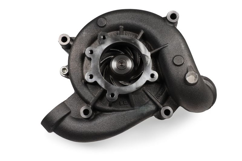 P9814 (2).JPG