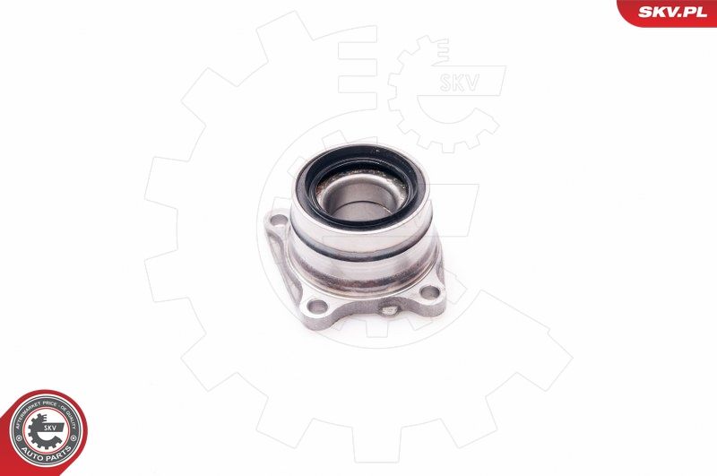 ESEN SKV 29SKV123 Wheel Bearing Kit