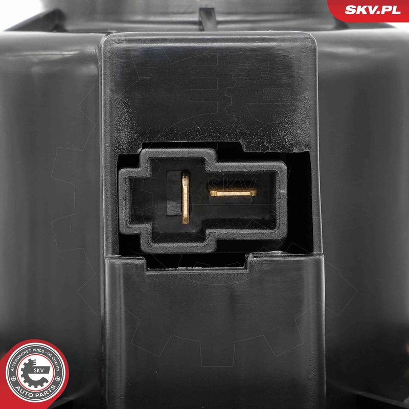 Salongipuhur, ESEN SKV...