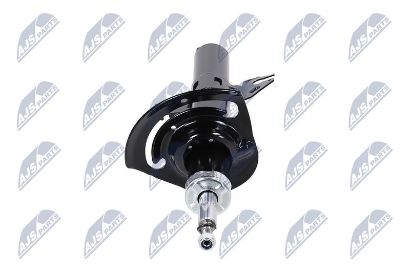 Amort, NTY A-CH-084