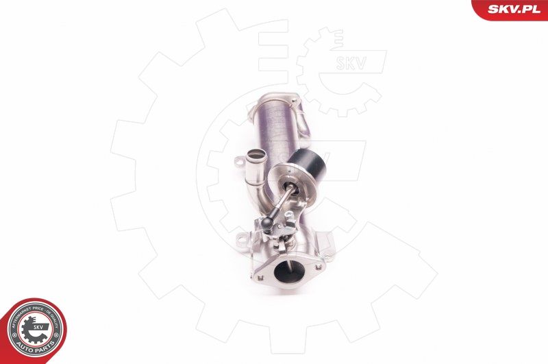 ESEN SKV 14SKV123 EGR Valve