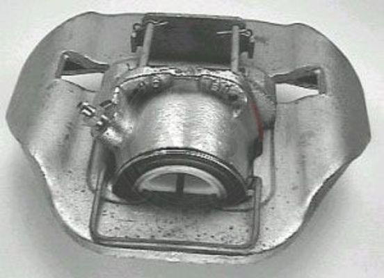 526901.JPG