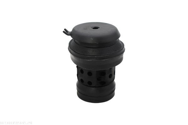 AUTOMEGA 130031910 Mounting, engine