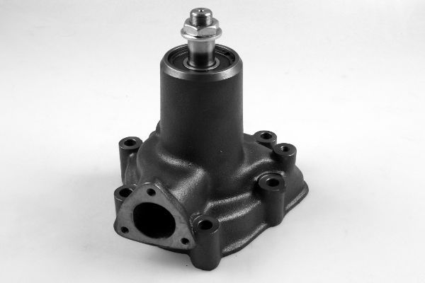 P9909.JPG