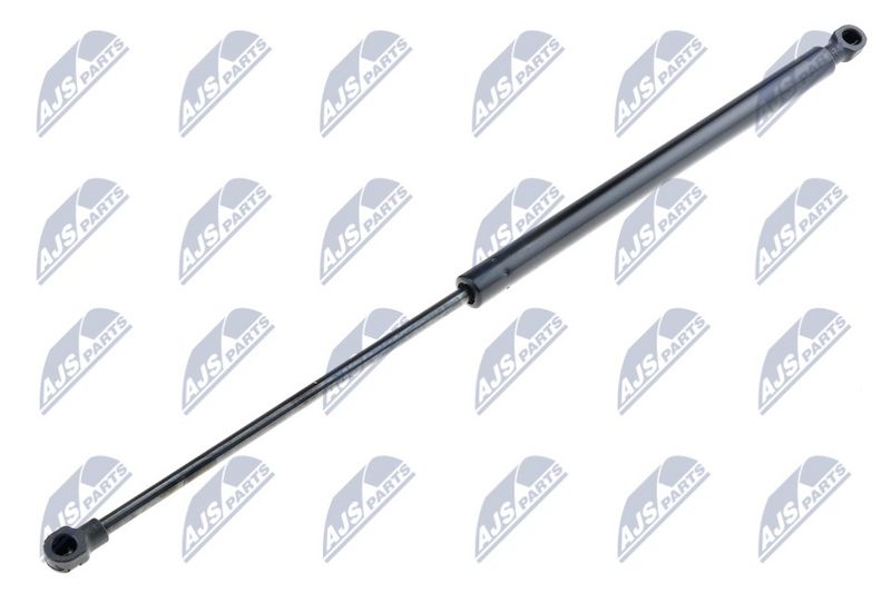 NTY AE-FT-005 Gas Spring, boot/cargo area