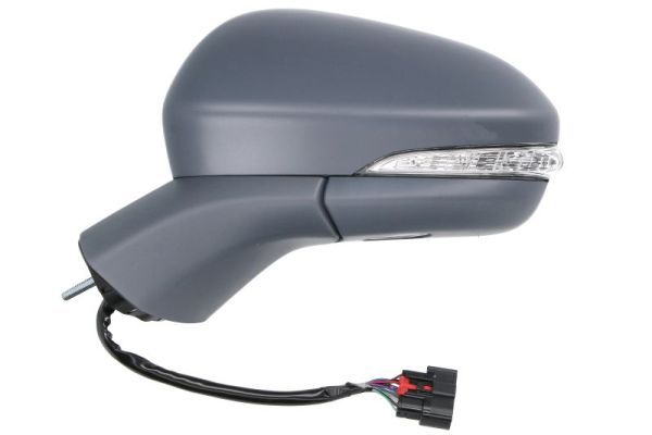 BLIC 5402-03-0405318P Exterior Mirror