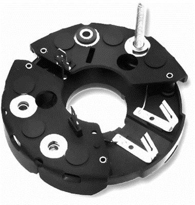 DDF_AMP1027_WR.JPG