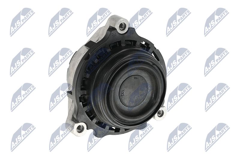 Paigutus, Mootor, NTY ZPS-BM-028