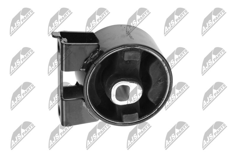 Paigutus, Mootor, NTY ZPS-CH-047