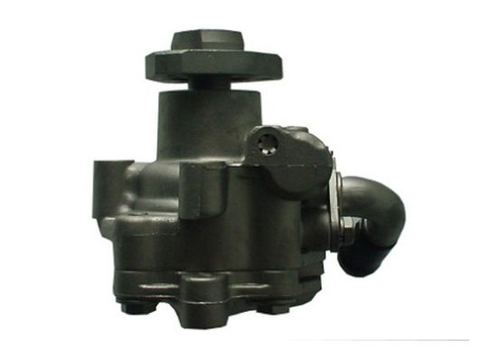 SPIDAN 53749 Hydraulic Pump, steering