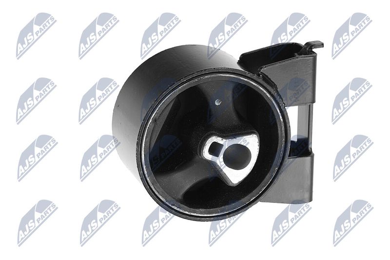 Paigutus, Mootor, NTY ZPS-CH-054