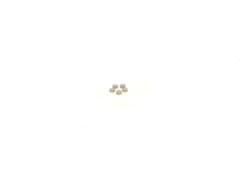 BOSCH 1410067219 Washer