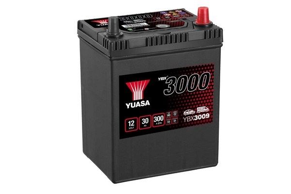 Yuasa Starter Battery YBX3009