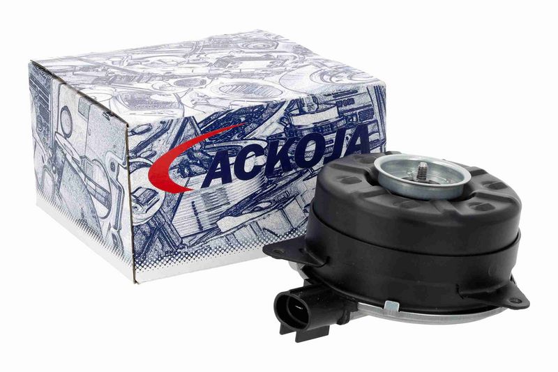 ACKOJA A70-01-0037 Electric Motor, radiator fan
