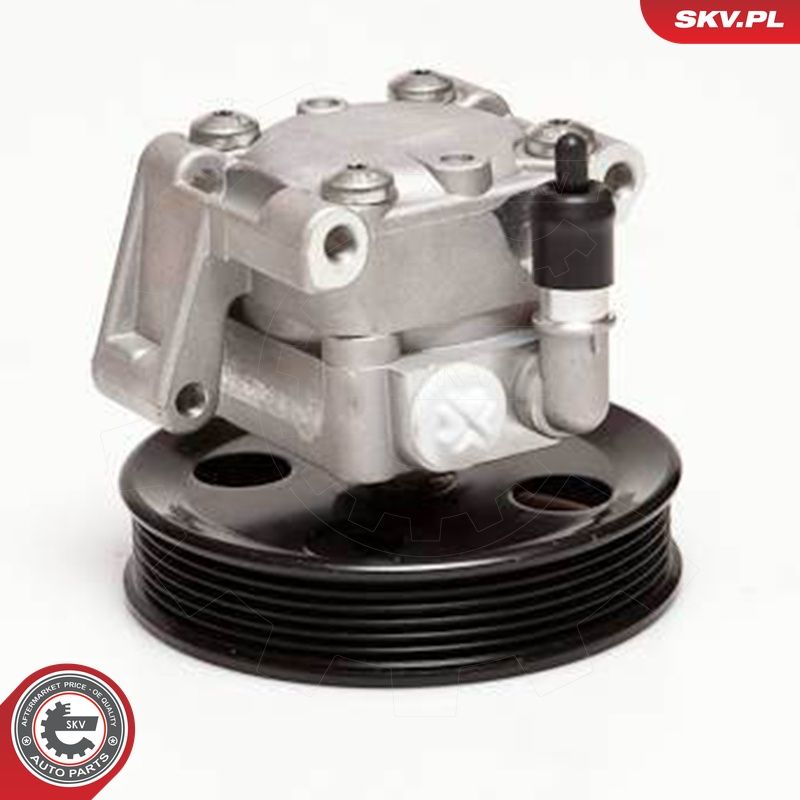 Hüdraulikapump, roolimine, ESEN SKV 10SKV050
