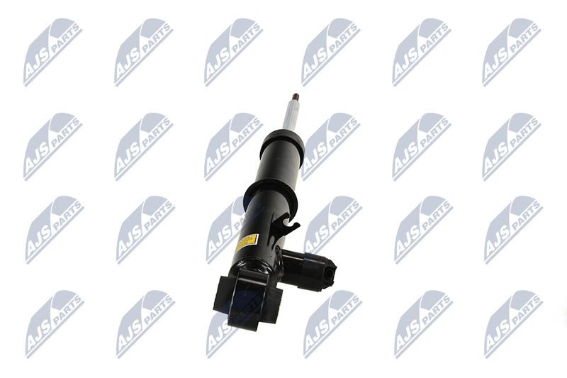 Amort, NTY A-LR-035