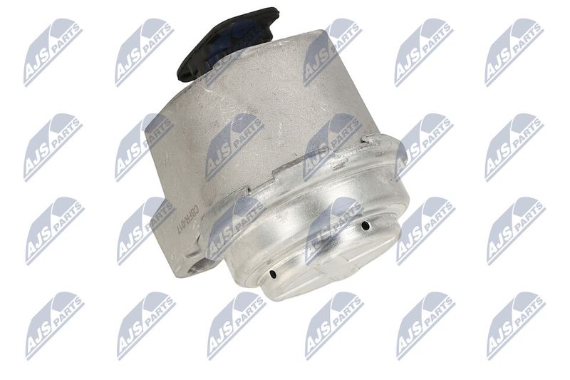 Paigutus, Mootor, NTY ZPS-FR-017