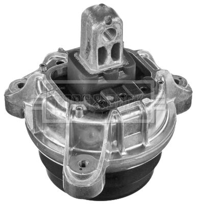 BEM4262_985255.JPG
