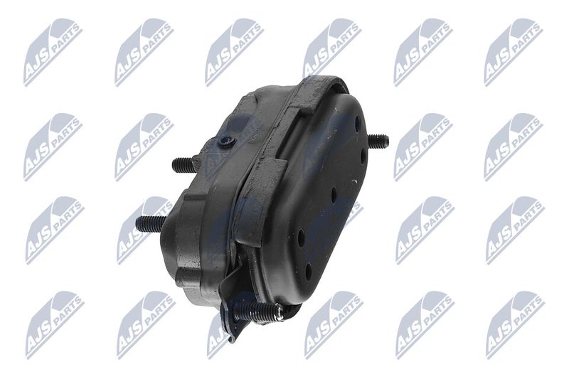 Paigutus, Mootor, NTY ZPS-CH-115