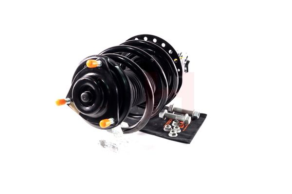 Vedruamort, GH GH-353057C01