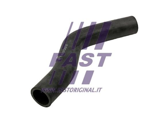 FT61022_1_1.JPG