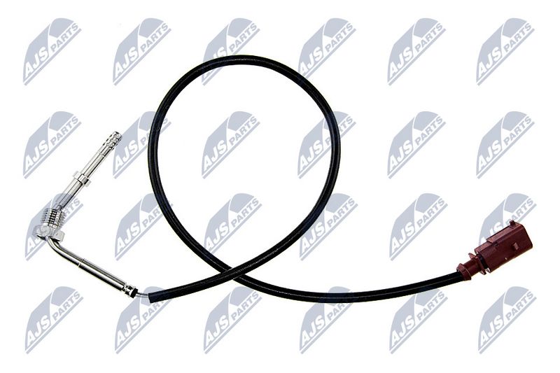 egt-vw-058_1-wm.JPG