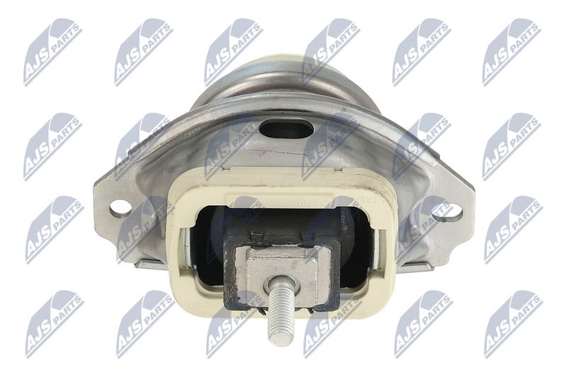 Paigutus, Mootor, NTY ZPS-LR-020