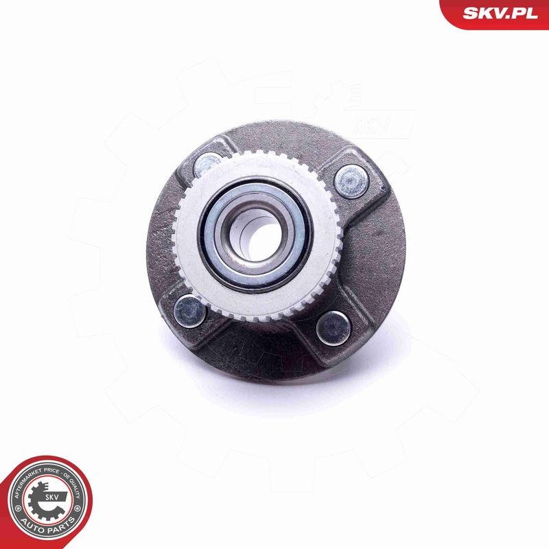ESEN SKV 29SKV520 Wheel Bearing Kit