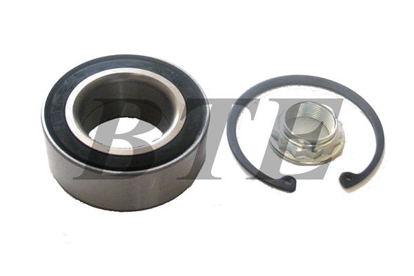 BTE 502100 Wheel Bearing Kit