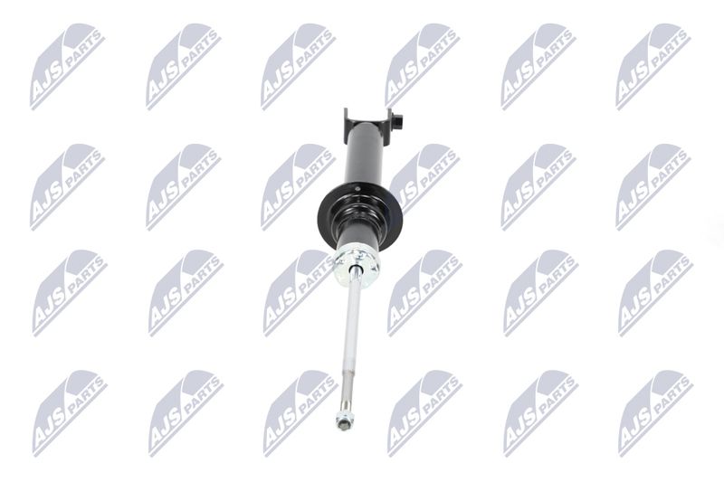 Amort, NTY A-CH-055