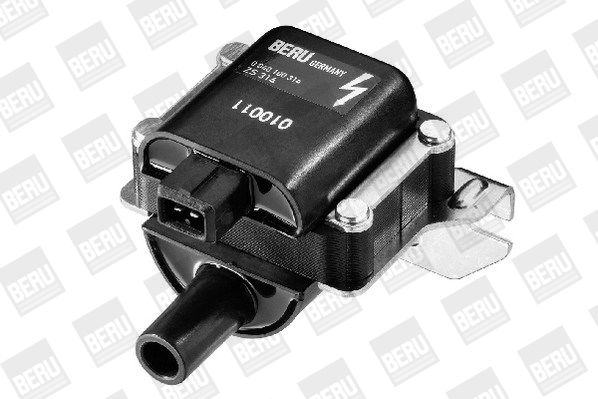 BorgWarner (BERU) ZS314 Ignition Coil