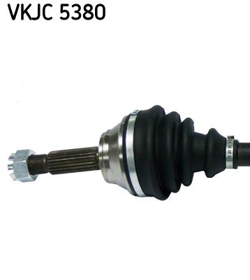 VKJC 5380_2.JPG