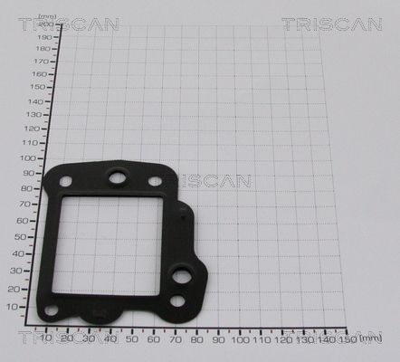 TRIS8813994.JPG