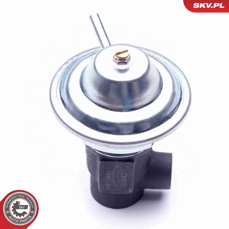 ESEN SKV 14SKV187 EGR Valve